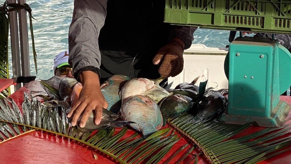 Bora Bora magic tour - Gourmet Odyssey